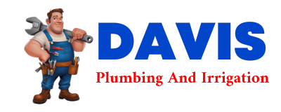 Trusted plumber in TREICHLERS